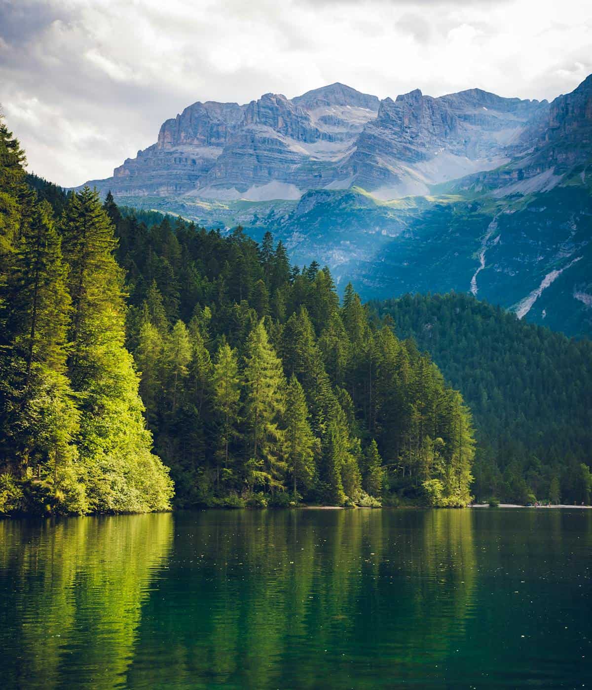 Greener Buildings Program Goals